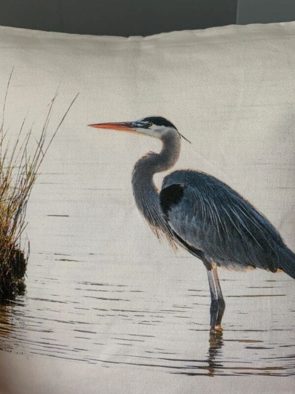 A bird standing in the water near some grass.