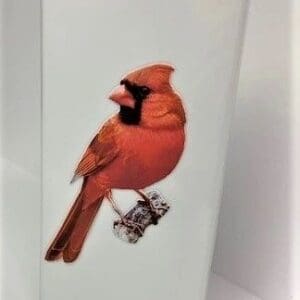 A red bird is sitting on the branch of a tree.