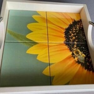 A tray with four tiles and handles on top of it.