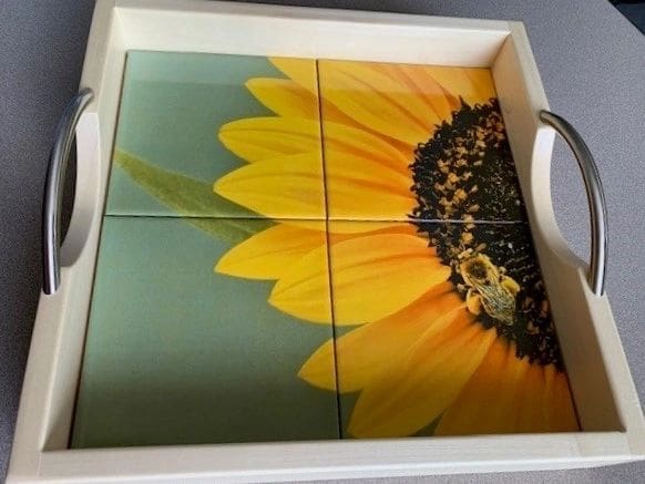 A tray with four tiles and handles on top of it.